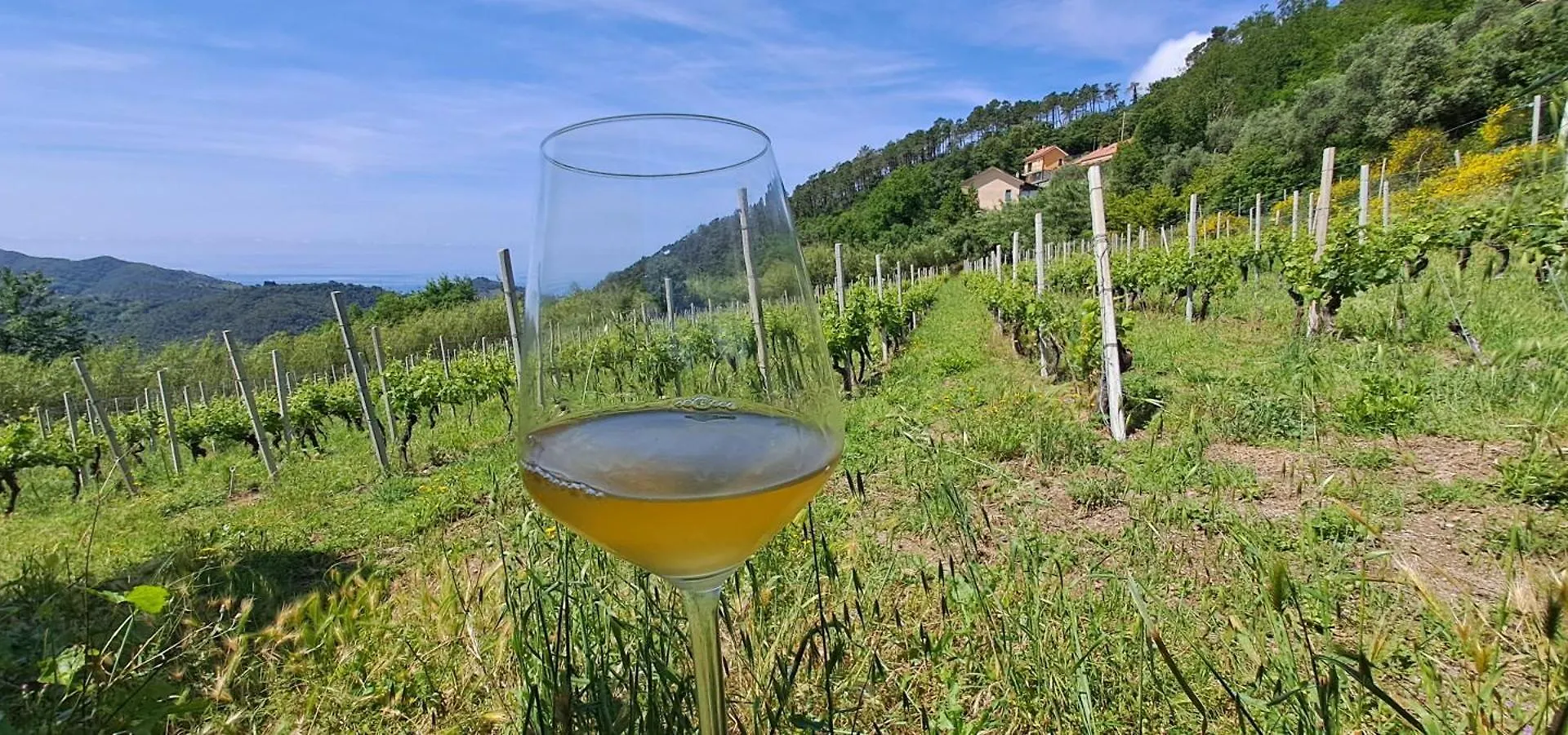 بيت ضيافة فندق Casa La Civetta - Relax Tra Verde E Mare A 10 Minuti Da Sestri Levante كاسارزا ليغير